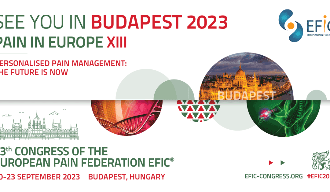 Introducing the #EFIC2023 Workshop formats