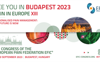 Introducing the #EFIC2023 Workshop formats